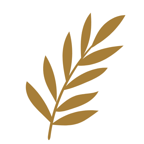 Graphic image of a fern leaf to represent patio space.